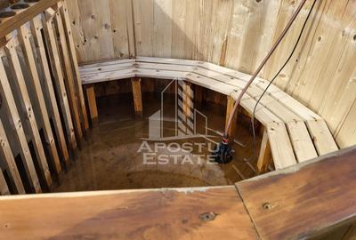Casa individuala,teren de 726 mp+proiect aprobat pt duplex,Dumbravita - 12