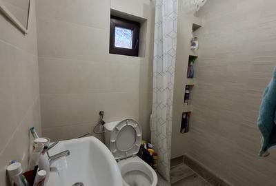 Casa de Vacanta Lepsa - 10