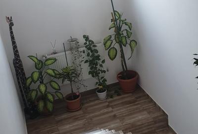CASA LA CHEIE !!! DIRECT PROPRIETAR - 10