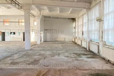 Vanzare sau inchiriere Cladire cadre beton  743 mp Movila Miresii teren 7354 mp - 5
