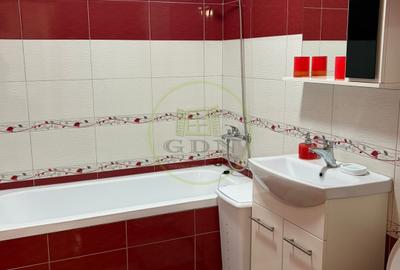 Apartament 2 camere de inchiriat-Zona Doamna Stanca - 12