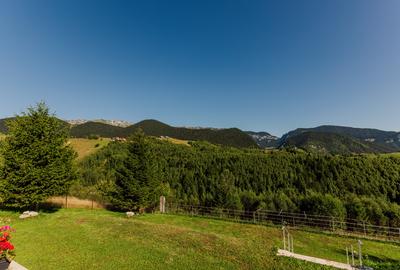 Sat Pestera,  Rezervatia Piatra Craiului, Brasov, Casa  plus teren 10 621 m - 3