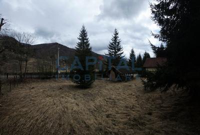 Cabana la munte Rucar / Satic - 23