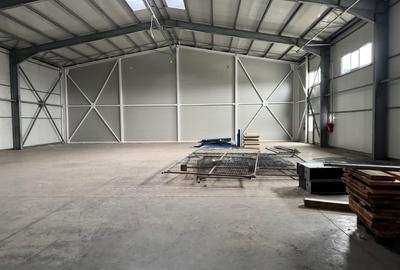 Hala 1000 mp de inchiriat Drumul Intre Tarlale- Oxigenului - 2