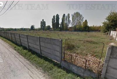 Teren Otopeni - Odai - 2