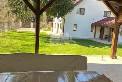 Pensiune/ Vila Valea Avrigului - 8