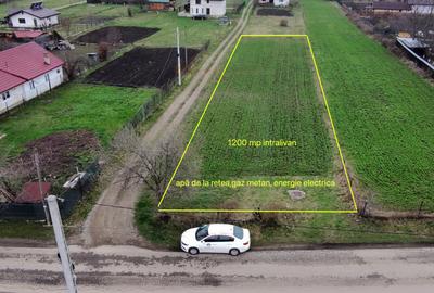 Teren 1200 mp Vadurele - comuna Alexandru cel Bun , cu utilitati - 2