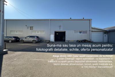 Hala 1023mp, depozit, putere mare instalata, str. Aurel Vlaicu - 1