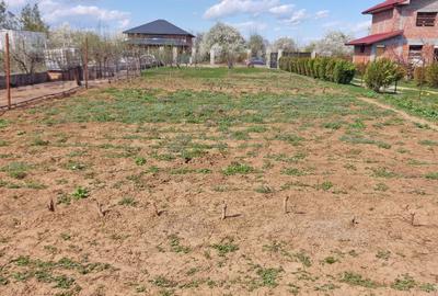 0%comision - Teren Tancabesti ingradit - 6