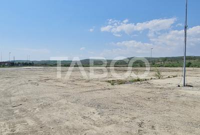 Teren industrial intravilan de vanzare la 3 km de autostrada - 7