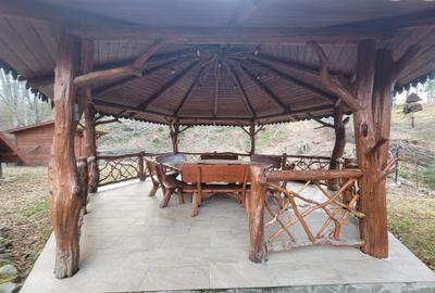 Cabana de vanzare ,Valea Avrigului/ 3000 mp/Langa padure - 23