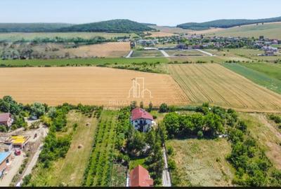 Vila/Proprietate Speciala, 500mp utili, 3300mp teren, Sangeorgiu de Ms - 21