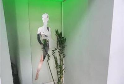 Stefan cel Mare, parter de vila, pretabil investitie, spatiu comercial/birou - 4