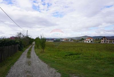 Teren 6,458mp Sighetu Marmatiei / Strada Doboies