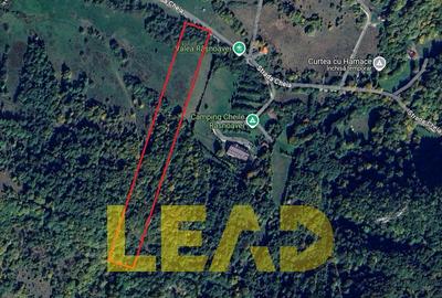 Comision 0%, Teren Extravilan superb, Cheile Rasnoavei - 2