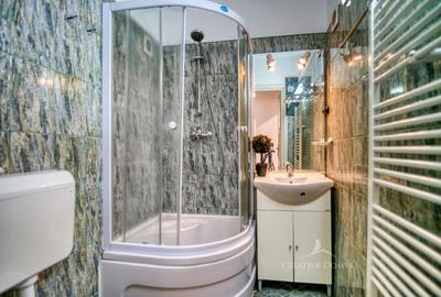 Floreasca / Apartament cu doua camere / centrala termica - 8