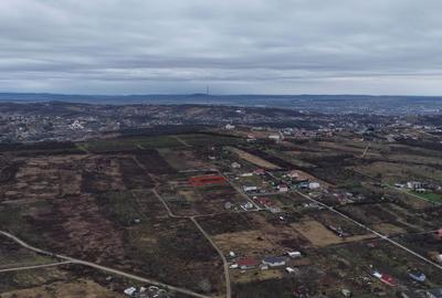 Teren Construcții intravilan de 1120 mp, în Săldăbagiu de Munte