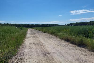 Oportunitate Unică! Teren de Vânzare aproape de Pădure – Ciolpani Izvorani - 7