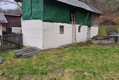 Casa  Campulung Muscel,padure proprie, toate utilitatile - 8