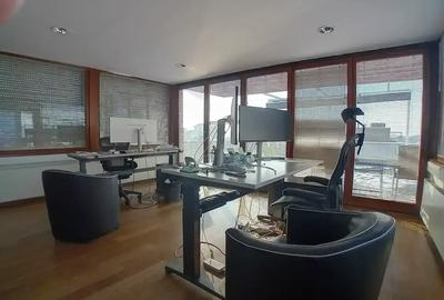 Penthouse Triplex de Lux | Dorobanți | 345 mp | Rooftop - 6