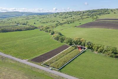 Casa de vacanta cu livada, la doar 3,5 km de Satul Viscri