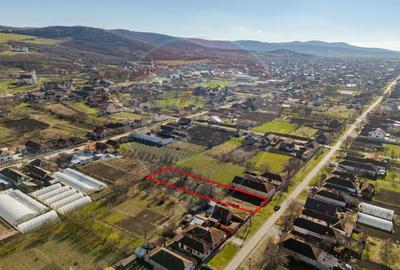 Teren curti-constructii 1295 mp de vanzare in Siria, Arad - 5