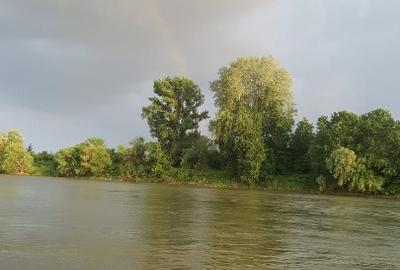 Apartament cu 3 camere de vanzare, etaj 2, - Micalaca - 13