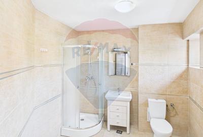 Duplex spatios de inchiriat - Tineretului - 16