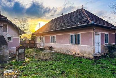 FILM! Gospodarie cu atmosfera traditionala,1.032 mp de verde si gradinarit, Sanz - 17