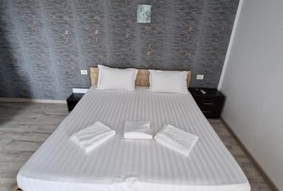 VILA TIP PENSIUNE DE INCHIRIAT | COICIU | UTILITATI INCLUSE | MOBILATA - 15