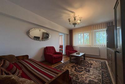 Dacia, Guliver, stradal - 6