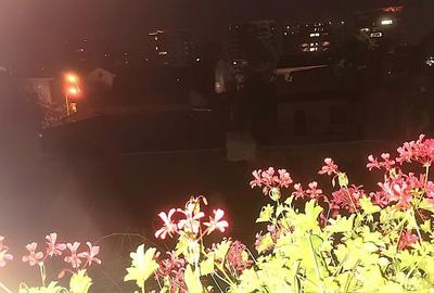 Apartament 3 camere - Central Plevnei (vizavi de Orhideea Gardens) - 19