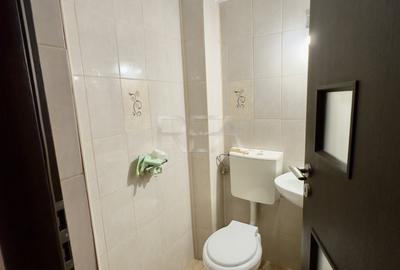 3 Camere Etaj 1/4 Cartierul Brâncuși - 13