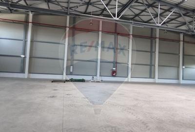 Spațiu industrial de 875mp de închiriat în zona Exterior Vest - 4
