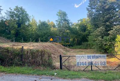 Teren intravilan cu utilitati si proiect de casa - 1