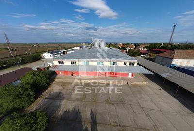 SPATIU INDUSTRIAL cu 3 hale si depozite acoperite - 8
