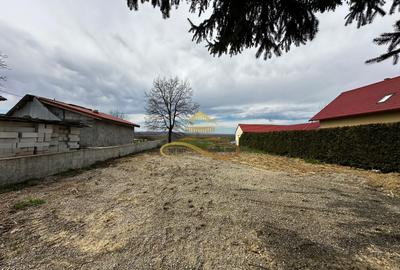 Teren intravilan 2800 mp de vanzare Prajesti (Traian) - Bacau - 4