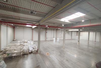 Hala productie depozitare sau logistica - 3