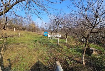 Casa plan parter cu 2700 mp teren in Iasi zona Bucium Hill Center - 10