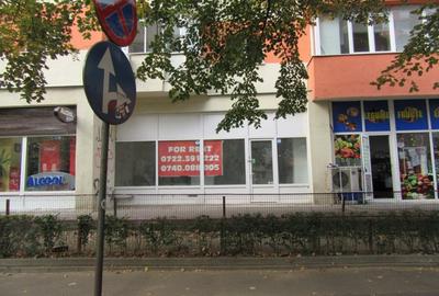 Inchiriere spatiu comercial Teiul Doamnei - 7
