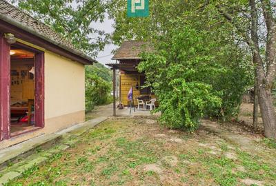 Casă de vacanță cu teren  în Lipova - 7