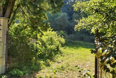 Vand teren intravilan cu toate utilitatile in zona Platou-Cornesti - 1
