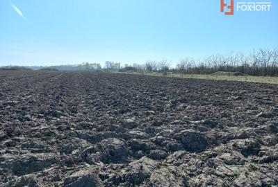 Teren intravilan – oportunitate investitie – Remetea Mare, langa Bega - 1