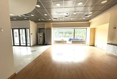 INCHIRIERE Spațiu comercial 173 mp. Vitrina Mare la Bulevard CETATE Alba Iulia - 19