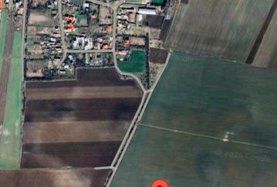 Vanzare 7500 mp teren in Butimanu ( aproape de Bucuresti ) cu pret negociabil - 7
