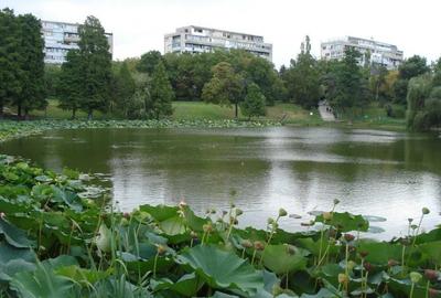 Apartament 3 camere langa Parcul Circului - 8
