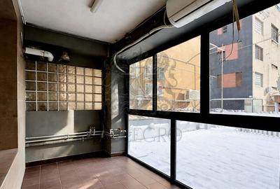 Vila Individuala | Putul Lui Zamfir - Dorobanti | 2002 | 238 mp utili - 14