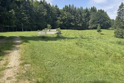 PREDEAL - Teren intravilan 6,000 m² -Poiana Secuilor - 7