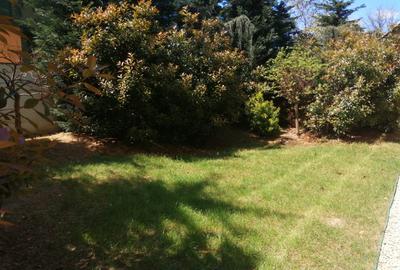 Lovely 2 bedrooms apartment with amazing garden - 1