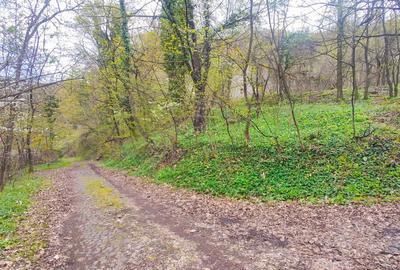 Teren Intravilan Centrul Civic - 12